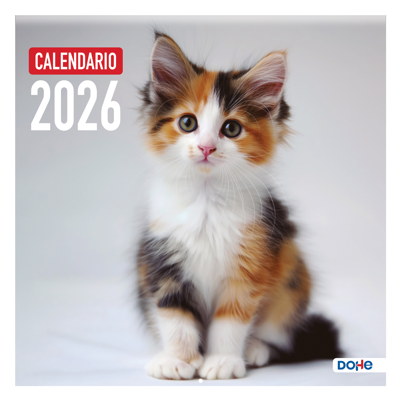 Dohe - Calendario pared - tamaño 30 x 30 cm. - Modelo Gatos